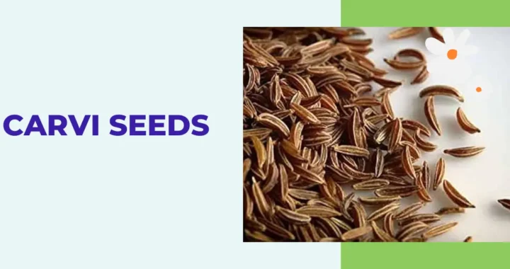Carvi Seeds: Health Benefits and Uses