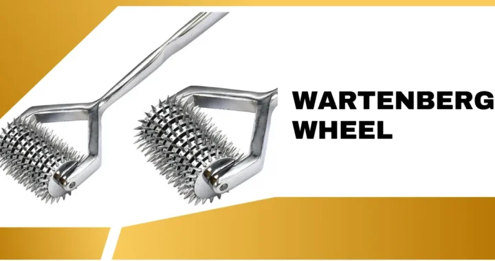 Wartenberg Wheel: Everything You Need to Know