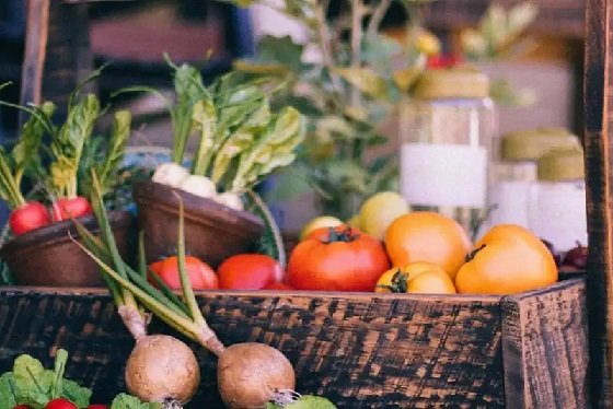 Optimizing Supply Chains for Fresh and Nutritious Food Delivery